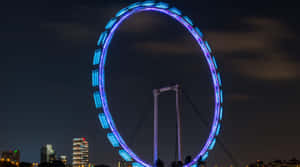 Singapore Flyer Night Illumination Wallpaper