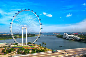 Singapore Flyerand Gardensbythe Bay Wallpaper