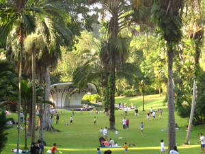 Singapore's Tropical Garden Wallpaper