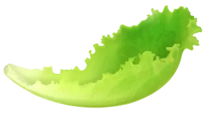 Single Leaf Lettuce Wallpaper