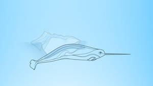 Single Line Narwhal Art Wallpaper