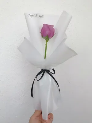 Single Red Rose In Full Bloom Wallpaper