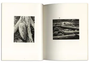 Singular Book With Photos [wallpaper] Wallpaper