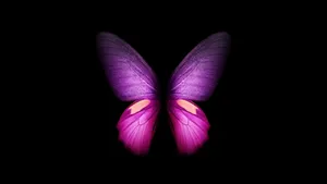 Singular Pink Glitter Butterfly Wallpaper