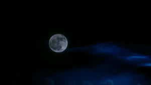 Sinners Under The Moon Wallpaper