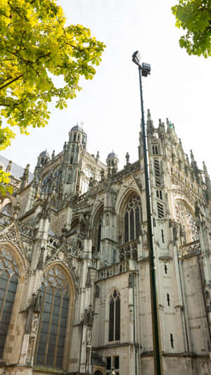 Sint Janskathedraal Den Bosch Wallpaper