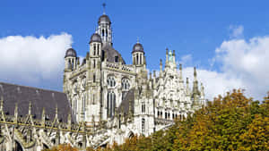 Sint Janskathedraal Den Bosch Autumn Wallpaper