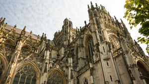 Sint Janskathedraal Den Bosch Exterior Wallpaper