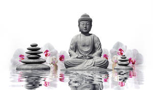 Sitting Buddha Hd Wallpaper