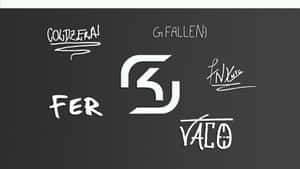 Sk Gaming In Action Wallpaper