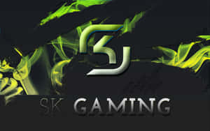 Sk Gaming Team In Action Wallpaper