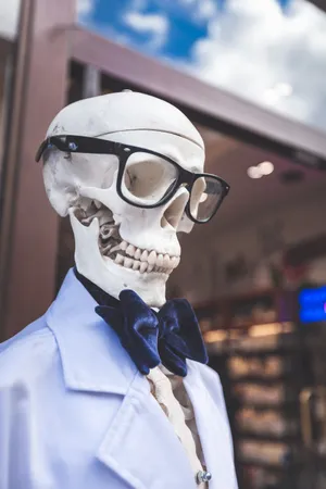 Skeleton With Glasses Funny Pfp For Tiktok Wallpaper