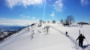 Skiing Mountain Trail Wallpaper