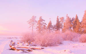 Sky And Trees In Pink Pastel Aesthetic Desktop Wallpaper