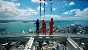 Sky Tower Auckland Adventure Walk Wallpaper