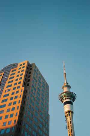 Sky_ Tower_ Auckland_ Against_ Blue_ Sky Wallpaper