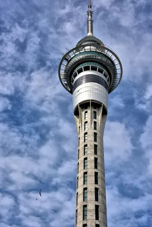 Sky Tower Auckland New Zealand Wallpaper