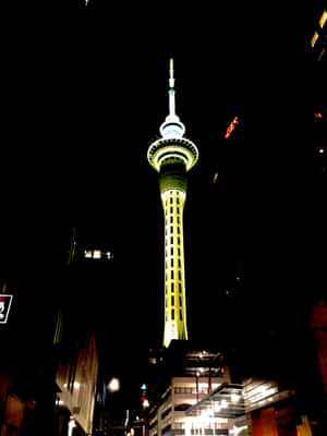 Sky Tower Auckland Night View Wallpaper