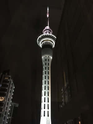 Sky Tower Auckland Night View Wallpaper