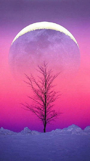 Sky View With Moon Wallpaper