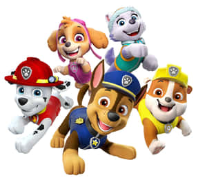 Skye Paw Patrol Puppy Characters White Canvas Wallpaper