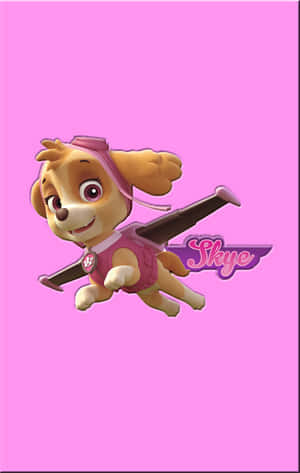 Skye Paw Patrol Zuma In Pink Canvas Wallpaper