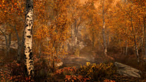 Skyrim Autumn Forest Path Wallpaper