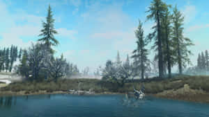 Skyrim Cold Swamp Landscape Wallpaper