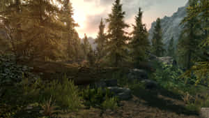 Skyrim Forest Sunset Wallpaper