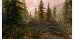 Skyrim S E_ Forest Path Sunrise Wallpaper