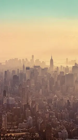 Skyscraper View Of New York Iphone Wallpaper