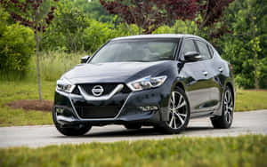 Sleek And Dynamic Nissan Maxima Sedan In Its Prime Wallpaper