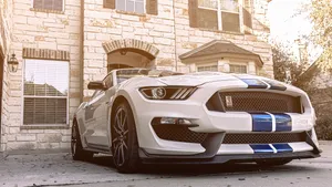 Sleek And Refined Ford Mustang Shelby Gt350 Wallpaper