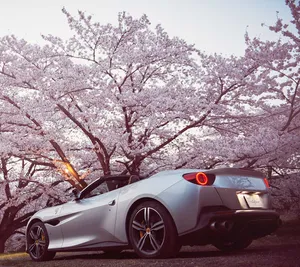 Sleek And Stylish Ferrari Portofino In Action Wallpaper