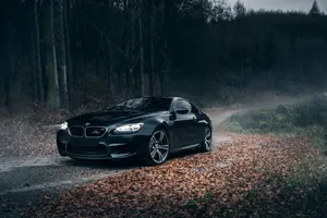 Sleek Bmw M6 In Action Wallpaper