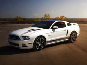 Sleek Ford Mustang California Special Cruising On The Open Road. Wallpaper