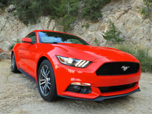 Sleek Ford Mustang Ecoboost On The Open Road Wallpaper