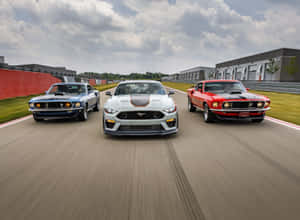 Sleek Ford Mustang Mach 1 On The Road Wallpaper