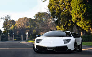 Sleek Lamborghini Murciélago In Motion Wallpaper