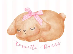 Sleeping Pink Coquette Bunny Illustration Wallpaper