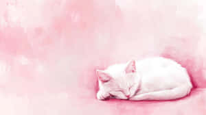 Sleeping_ White_ Cat_ Pastel_ Pink_ Background.jpg Wallpaper