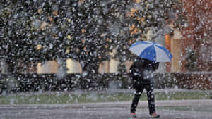 Sleet Raining Down On An Umbrella Wallpaper