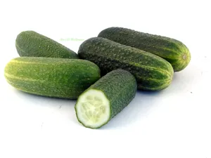 Sliced Bumpy Green Cucumber Fruits Wallpaper