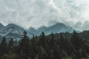 Slovenia Alps Skyline Wallpaper