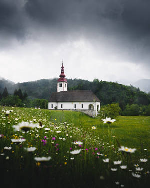 Slovenia Bitnje Assumption Church Wallpaper