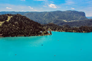 Slovenia Dark Blue Lake Wallpaper