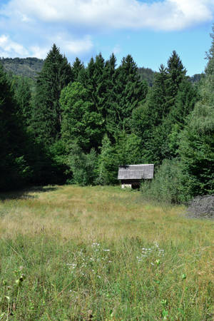 Slovenia Small Hut In Forest Wallpaper