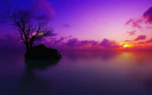 Small Island Beach Indigo Sunset Wallpaper