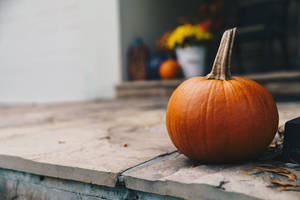 Small Rustic Fall Pumpkin Wallpaper