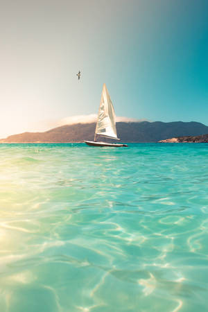 Small Sailboat Summer Iphone Wallpaper